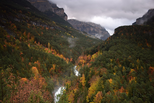 Memorias de otoño 23 - Marta Catas