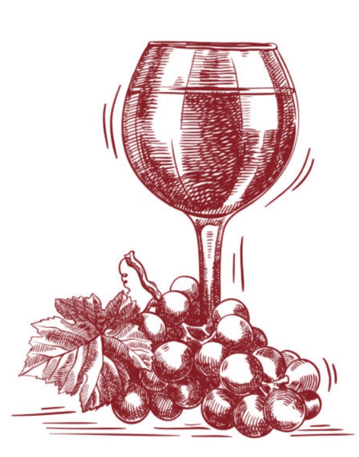 Catas 2 - Marta Catas