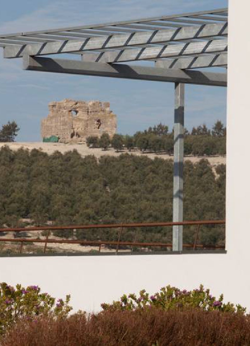 Visitas 4 - Marta Catas